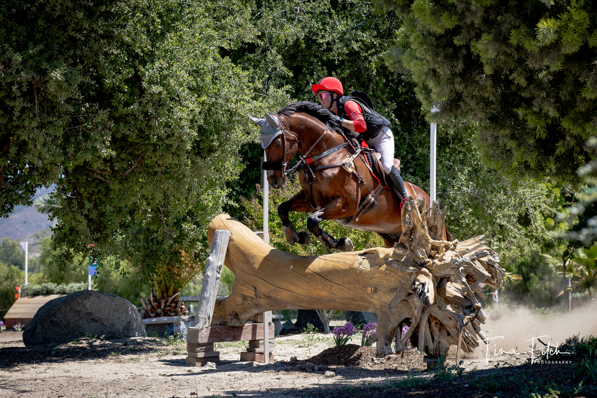 Rider in red jumps a horse over a wooden obstacle outdoors.