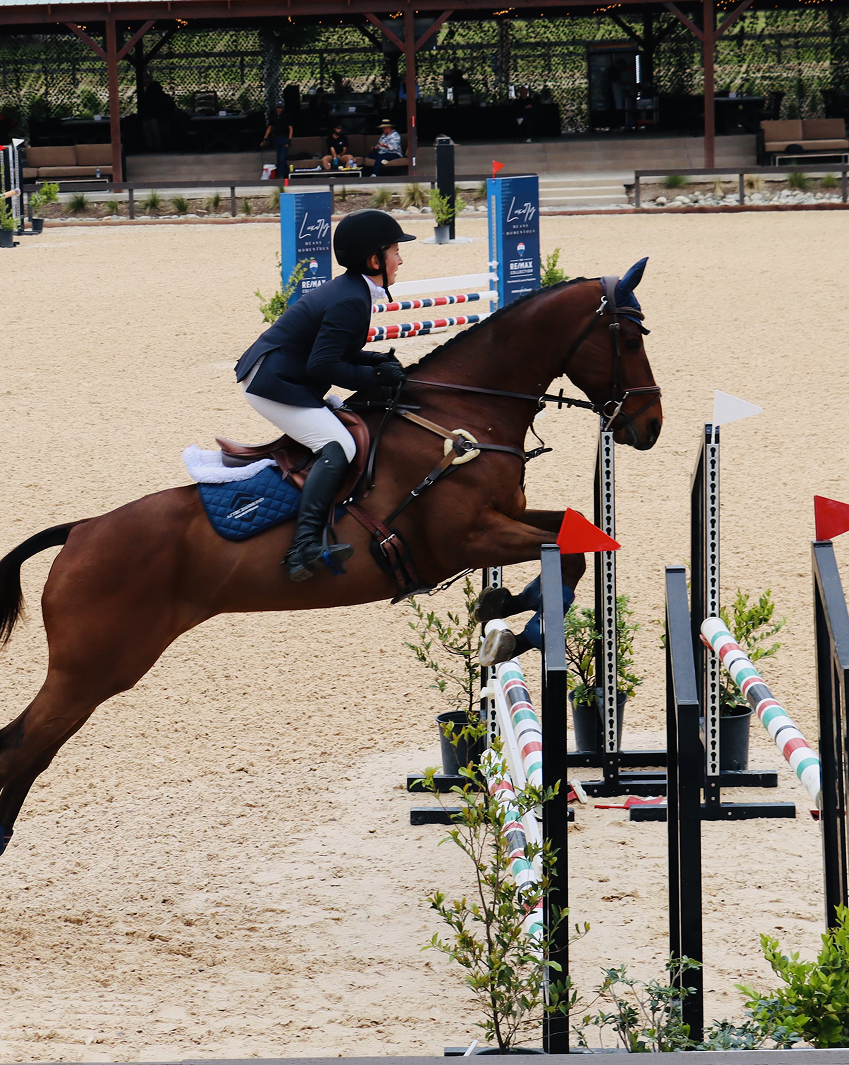 Equestrian jumping over hurdle