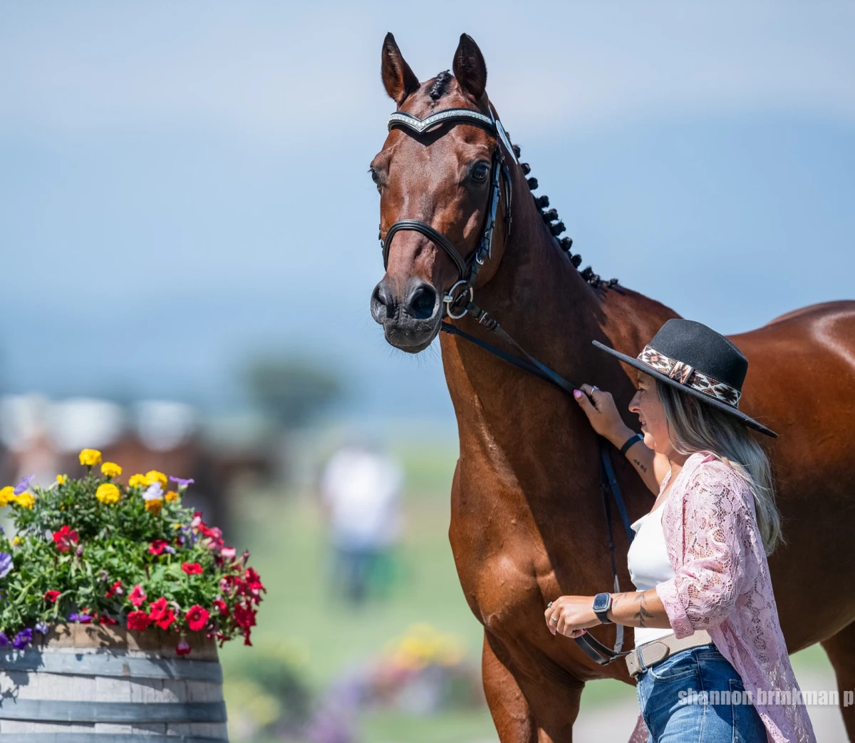 Elegant horse with braided mane and handler