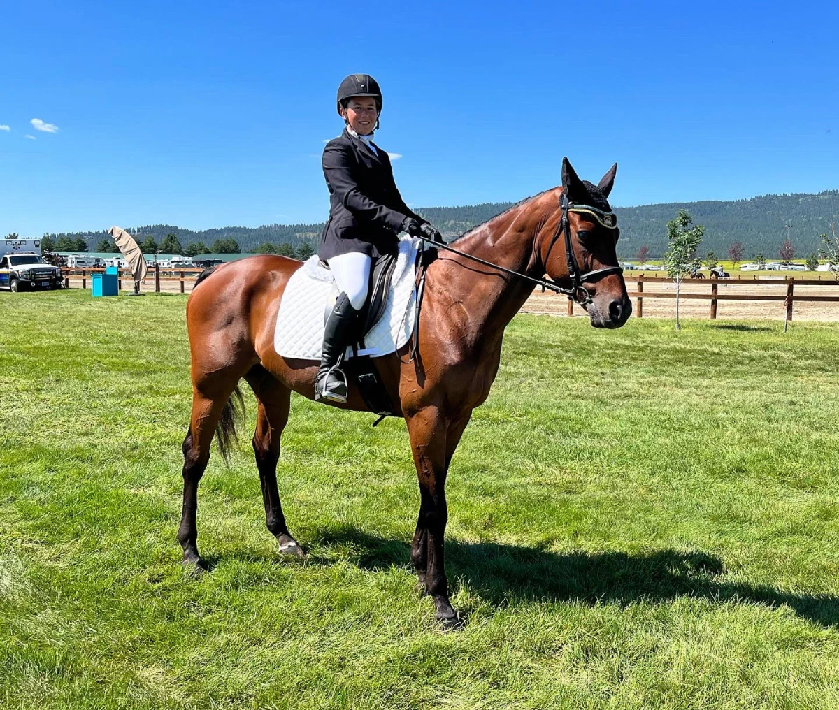 Equestrian riding horse on sunny day