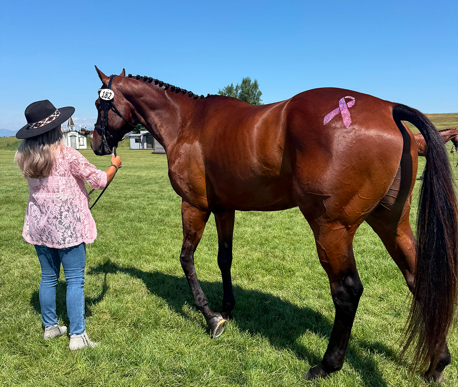 Woman leading horse with pink ribbon