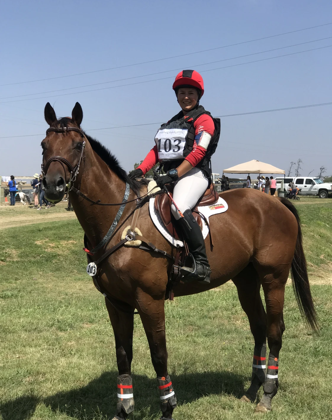Equestrian competitor on a horse